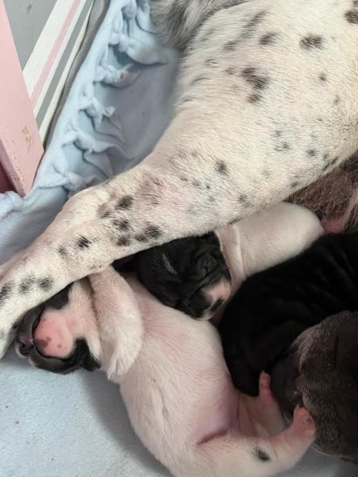 WhatsApp Bild 2025-06-08 um 14.27.34_6938ad80