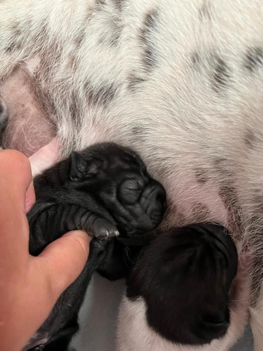 WhatsApp Bild 2025-06-08 um 14.27.34_a5636356