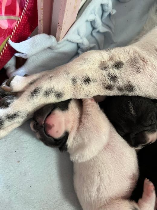 WhatsApp Bild 2025-06-08 um 14.27.34_c4501240