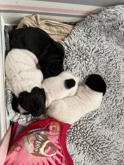 WhatsApp Bild 2025-06-08 um 14.27.34_dd6ed234