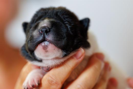 2025-06-09-13-04-11-EOS R6m2-6119-Verbessert-RR