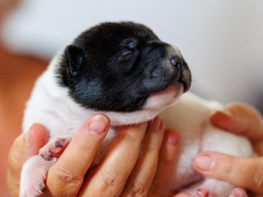 2025-06-09-13-04-14-EOS R6m2-6123-Verbessert-RR