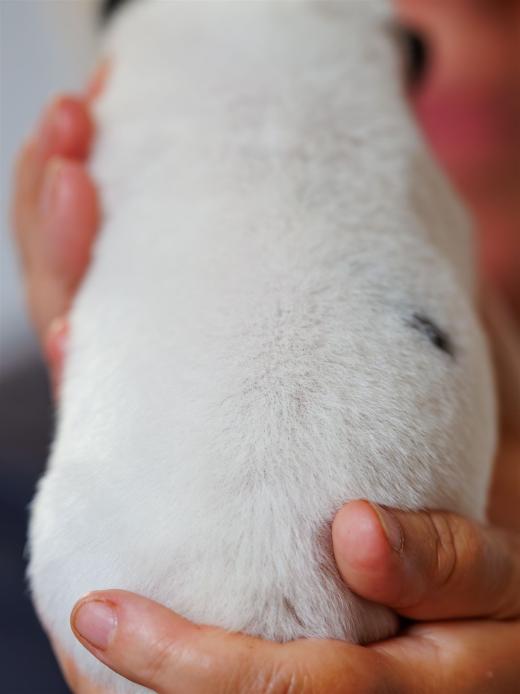 2025-06-09-13-04-17-EOS R6m2-6126-Verbessert-RR