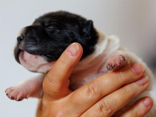 2025-06-09-13-04-39-EOS R6m2-6131-Verbessert-RR