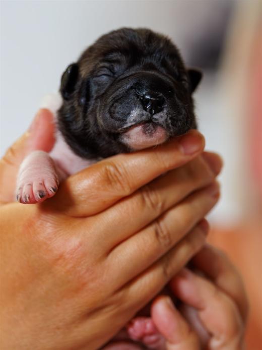 2025-06-09-13-05-14-EOS R6m2-6137-Verbessert-RR