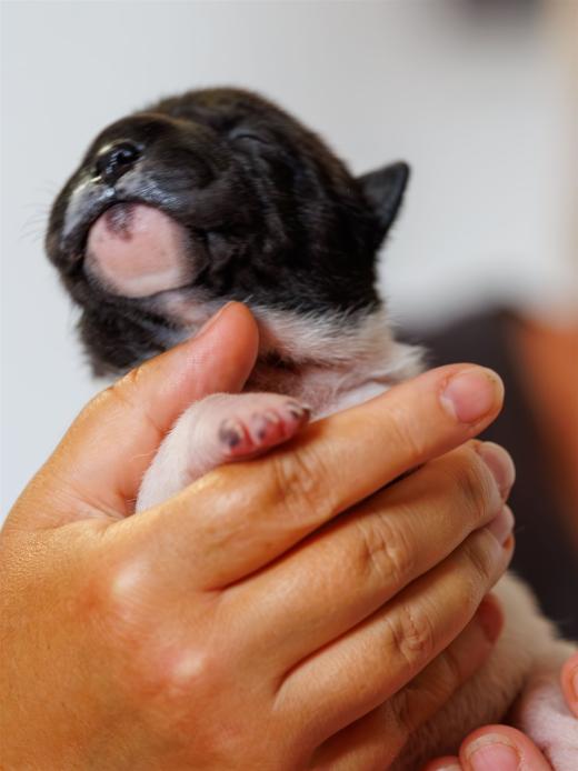 2025-06-09-13-05-25-EOS R6m2-6147-Verbessert-RR