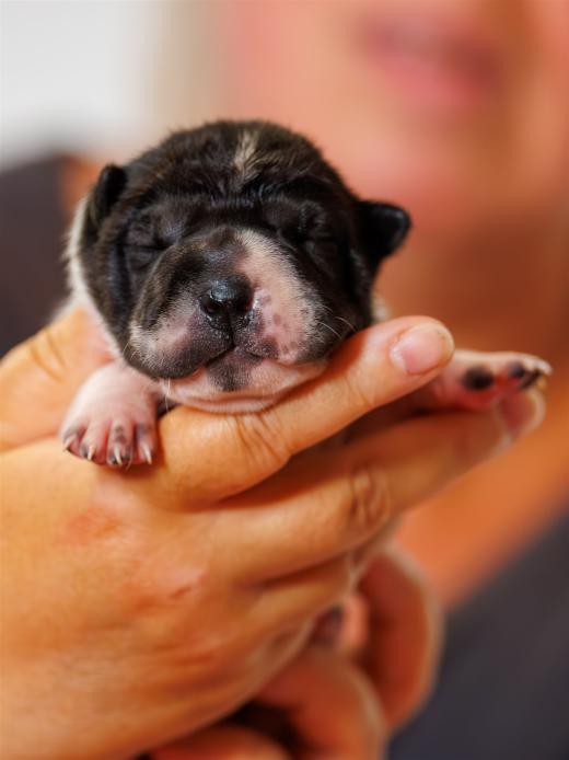 2025-06-09-13-05-47-EOS R6m2-6156-Verbessert-RR