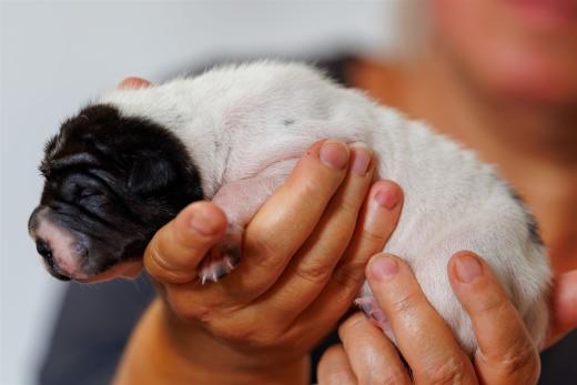 2025-06-09-13-05-51-EOS R6m2-6163-Verbessert-RR