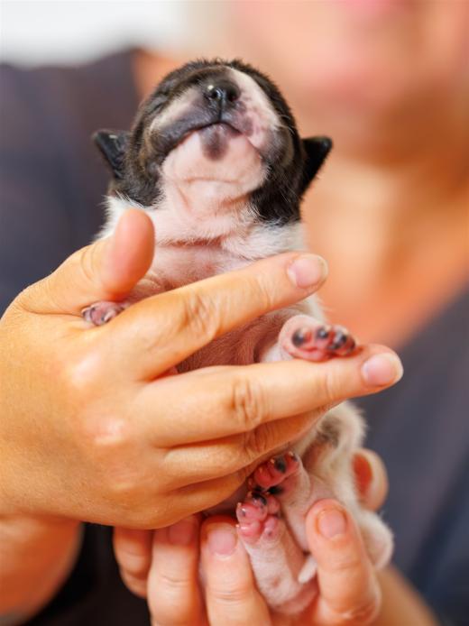 2025-06-09-13-05-55-EOS R6m2-6168-Verbessert-RR