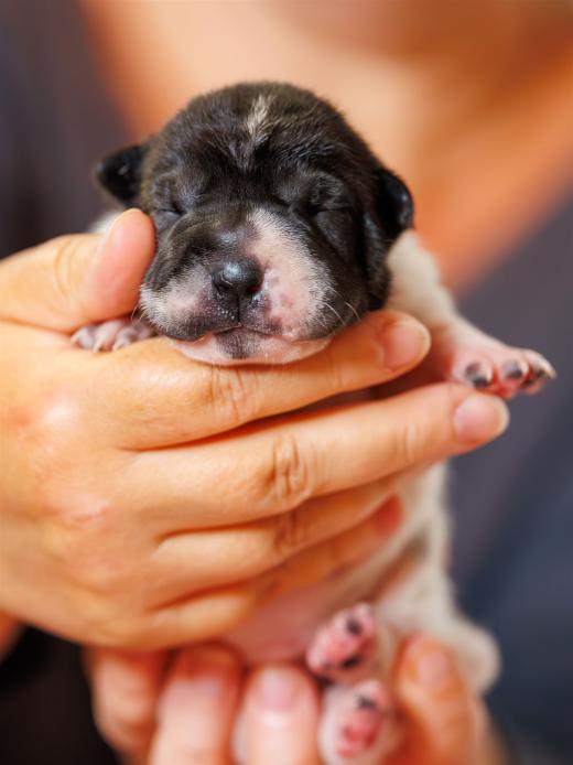 2025-06-09-13-05-57-EOS R6m2-6171-Verbessert-RR