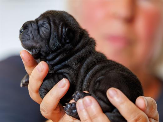 2025-06-09-13-06-17-EOS R6m2-6189-Verbessert-RR