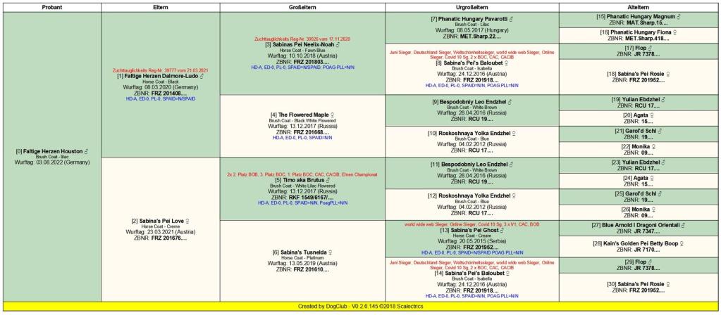 PEDIGREE H-WURF (03.08.2022)