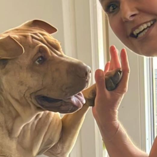 WhatsApp Bild 2024-08-12 um 14.51.18_5da3465f