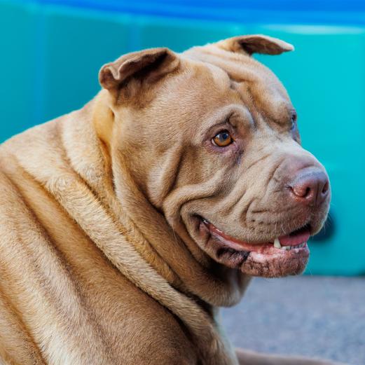 2023-06-24-20-24-05-EOS R6-1857-Verbessert-RR_2048px