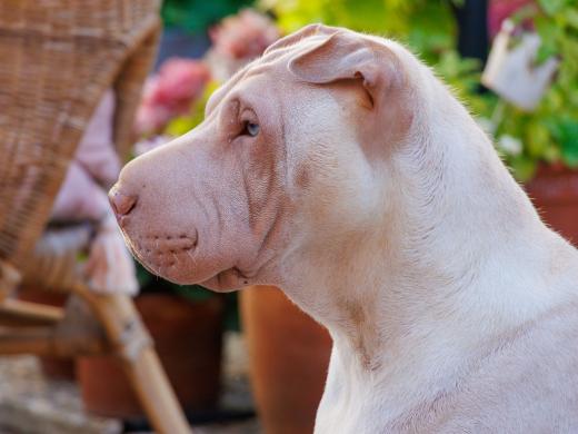 2023-08-10-18-08-09-EOS R7-4984