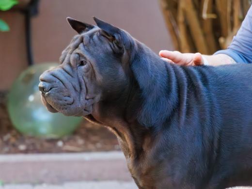 2023-08-10-18-35-39-EOS R7-5023-Verbessert-RR