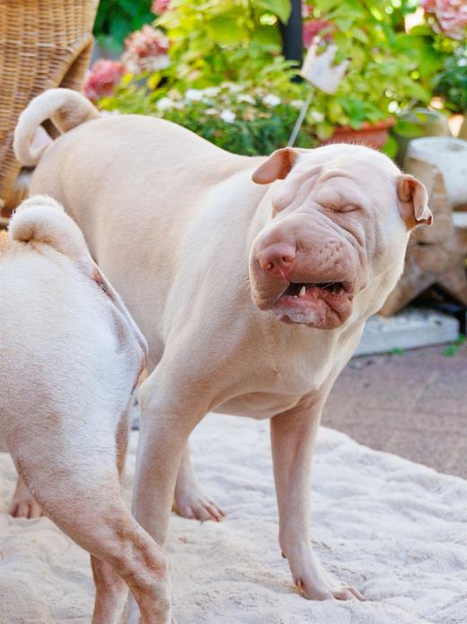 2023-08-11-15-33-59-EOS R7-5032