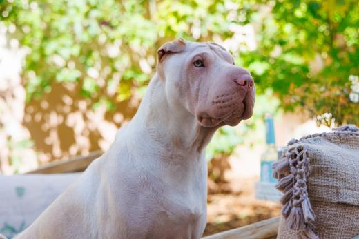 2023-08-11-15-41-19-EOS R7-5045