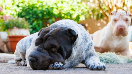 2023-08-11-15-51-28-EOS R7-5054