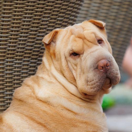 2023-08-11-18-22-10-EOS R6-1922