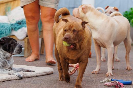 2023-08-11-18-33-29-EOS R6-1985