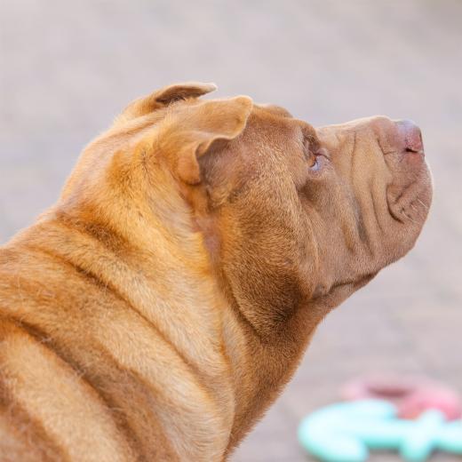 2023-08-12-16-06-29-EOS R7-5112_2048px