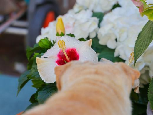 2023-08-12-16-12-22-EOS R7-5120_2048px