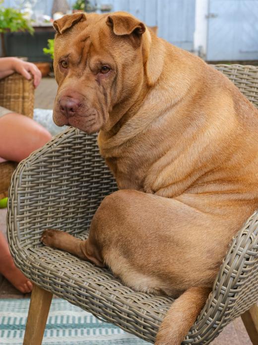 2023-08-12-16-19-35-EOS R7-5144_2048px