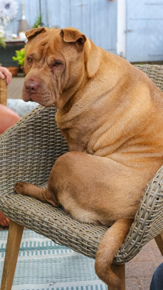 2023-08-12-16-19-37-EOS R7-5147_2048px