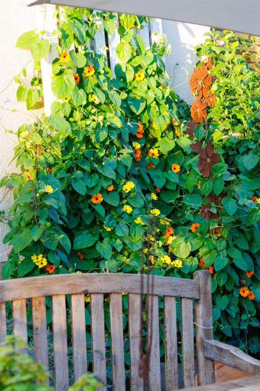 2023-08-18-19-51-03-EOS R7-5225_2048px