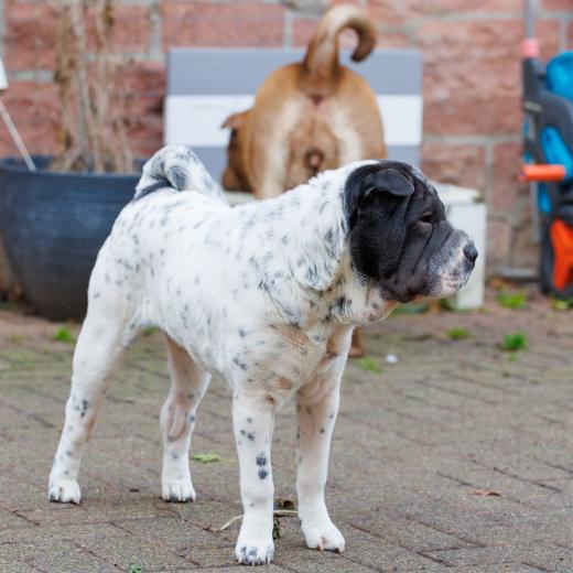 2023-12-17-14-00-28-EOS R6m2-3329_2048px