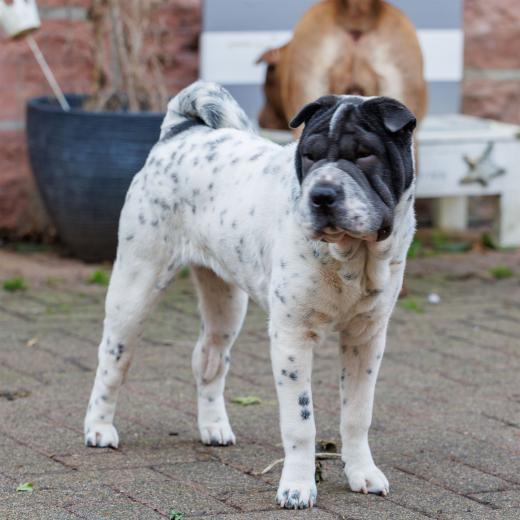 2023-12-17-14-00-30-EOS R6m2-3330_2048px