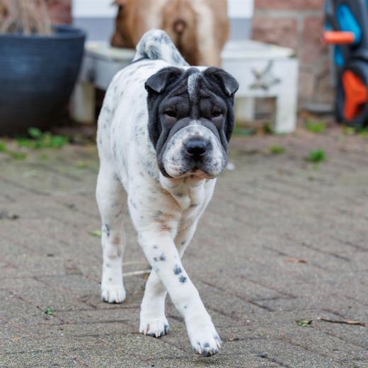 2023-12-17-14-00-33-EOS R6m2-3332_2048px