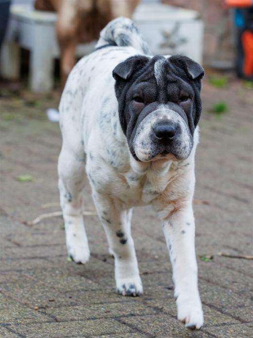 2023-12-17-14-00-33-EOS R6m2-3333_2048px