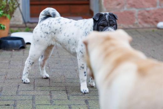 2023-12-17-14-00-56-EOS R6m2-3342_2048px