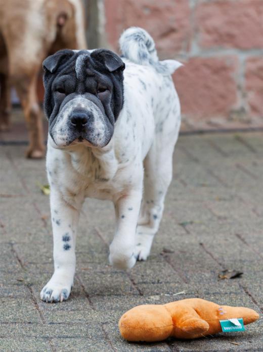 2023-12-17-14-01-25-EOS R6m2-3344_2048px