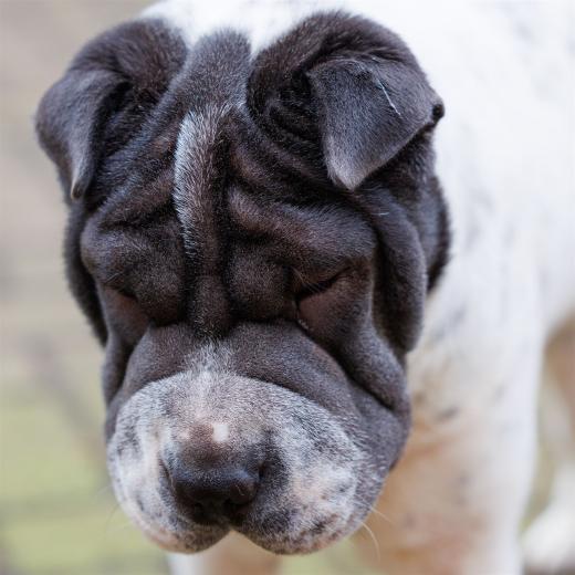 2023-12-17-14-01-43-EOS R6m2-3346_2048px