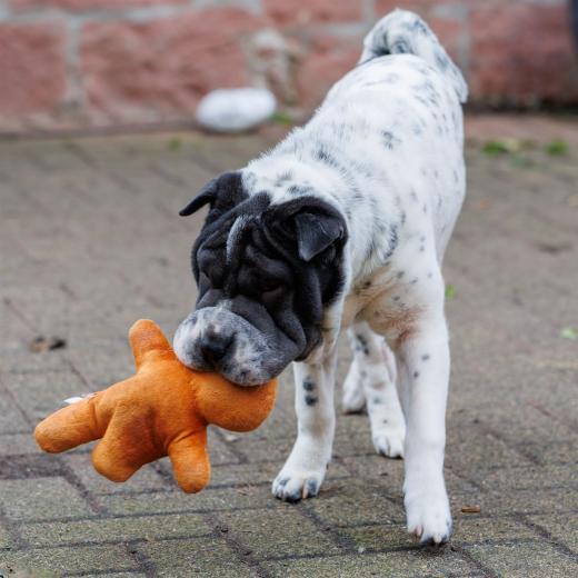 2023-12-17-14-02-03-EOS R6m2-3352_2048px