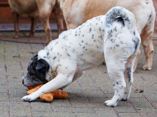 2023-12-17-14-02-27-EOS R6m2-3355_2048px