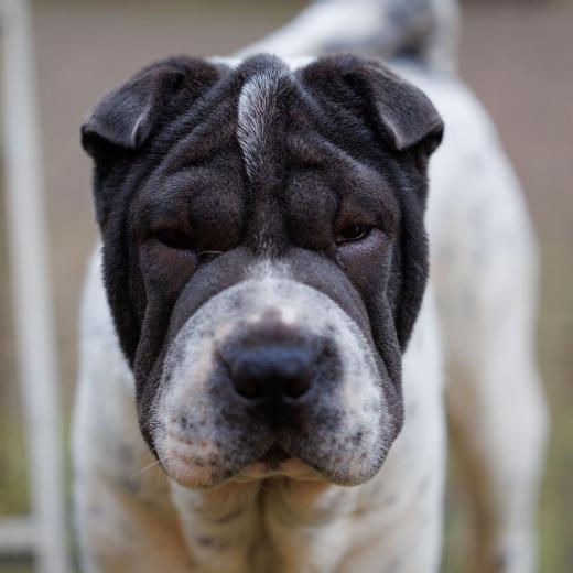 2023-12-17-14-05-09-EOS R6m2-3370_2048px