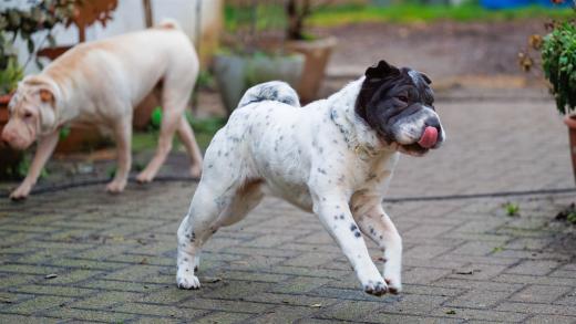 2023-12-17-14-08-50-EOS R6m2-3390-Bearbeitet_2048px