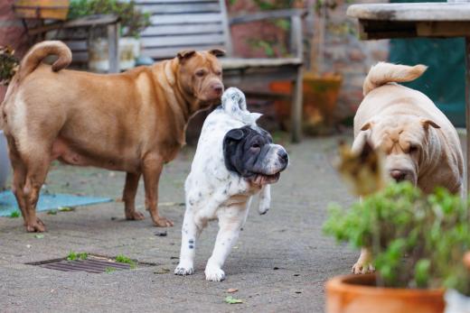 2023-12-17-14-10-00-EOS R6m2-3391_2048px