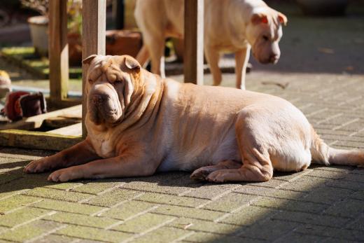 2024-03-03-12-56-45-EOS R6-2062_2048px