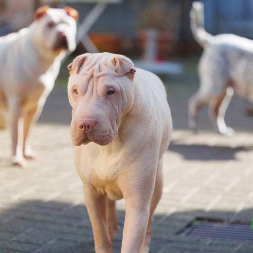 2024-03-03-12-58-37-EOS R6-2114_2048px