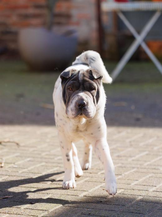 2024-03-03-12-59-05-EOS R6-2133_2048px