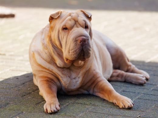 2024-03-03-13-05-23-EOS R6m2-3413_2048px