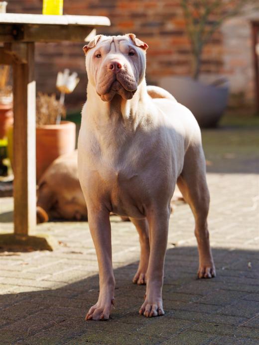 2024-03-03-13-12-45-EOS R6m2-3447_2048px