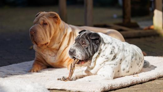 2024-03-03-13-58-35-EOS R6m2-3515_2048px