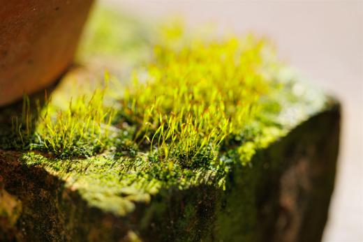 2024-03-03-14-05-10-EOS R6-2168_2048px