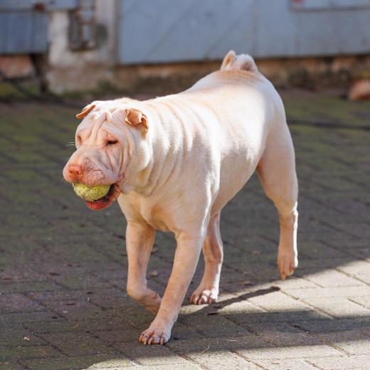 2024-03-03-14-22-44-EOS R6-2191_2048px